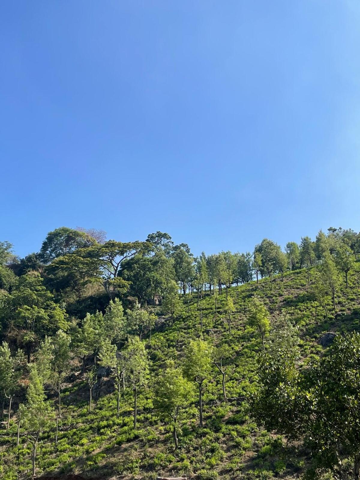 코타지리 Casa De Kcn 빌라 외부 사진